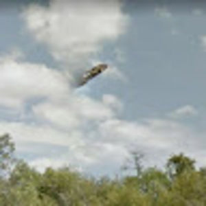 Meet your Posher, Ron